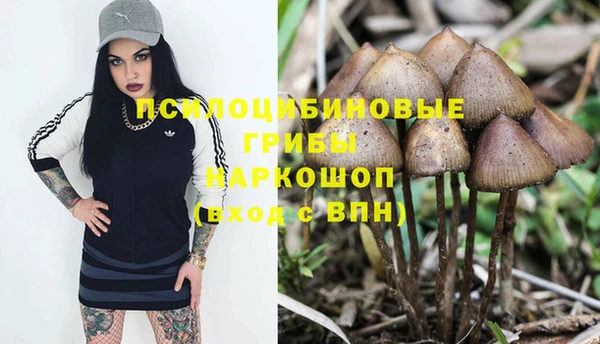 мет Абинск