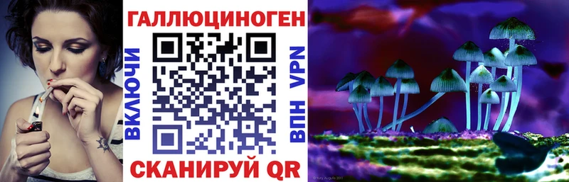 Галлюциногенные грибы Cubensis  Подпорожье 