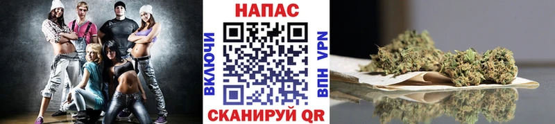 закладки  Подпорожье  Бошки Шишки ГИДРОПОН 